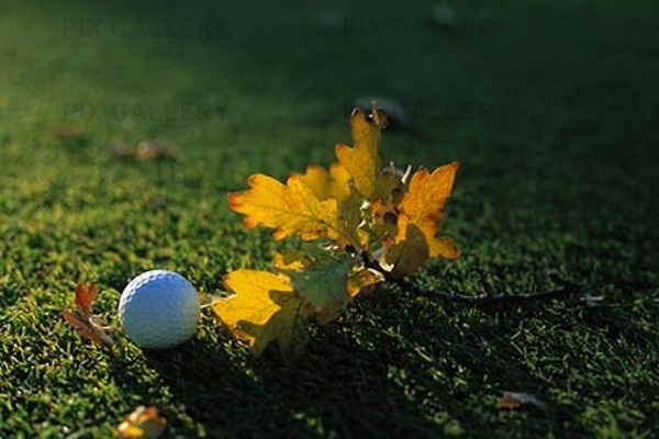 Östra banan stänger fr.o.m. 3 november