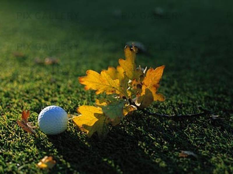 Östra banan stänger fr.o.m. 3 november