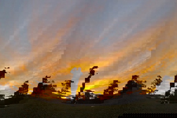 Sänkta medlemspriser