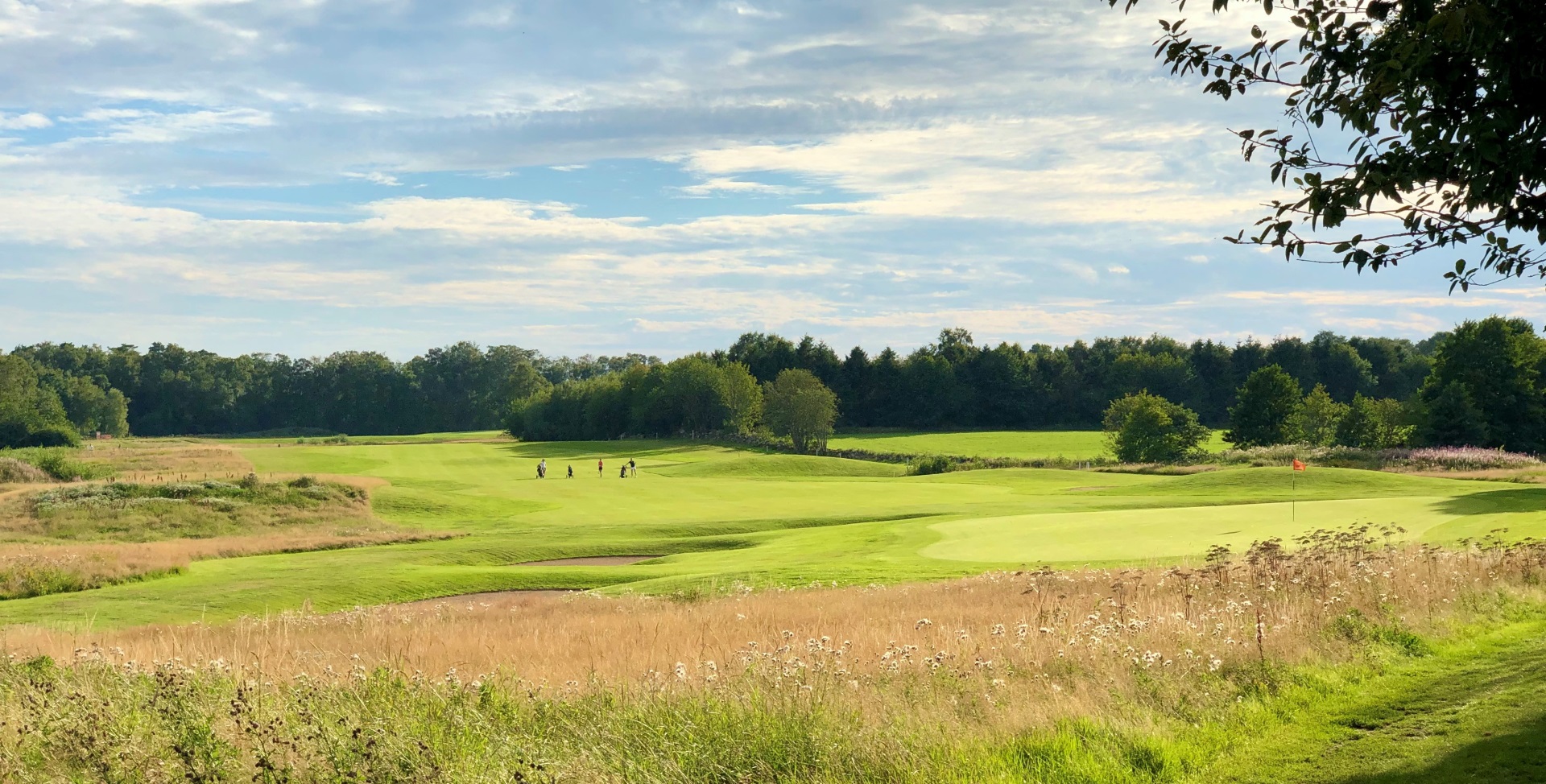 Varbergs GK Varbergs GK