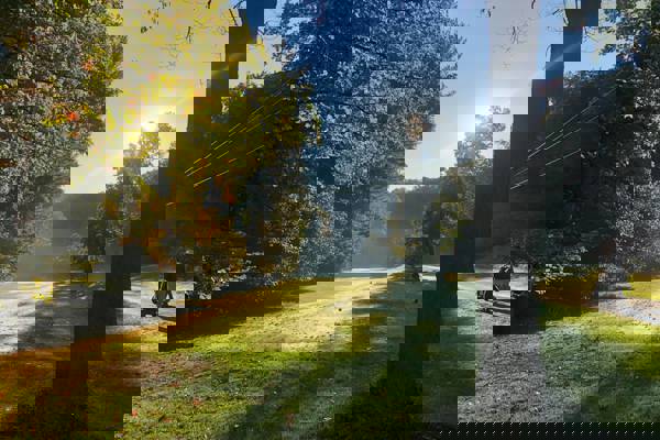 Varbergs GK söker Banchef